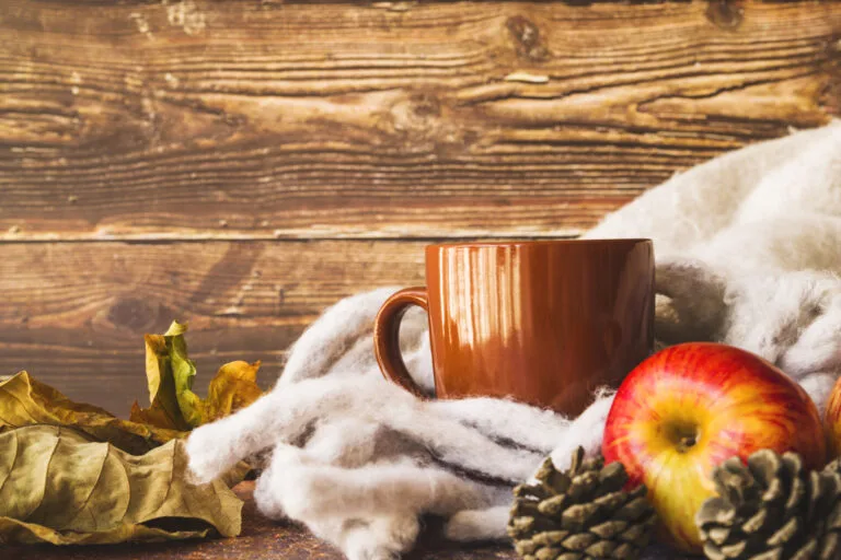 ideal diet for winter season